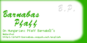 barnabas pfaff business card